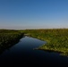 Lake Okeechobee the Liquid Heart of the Everglades