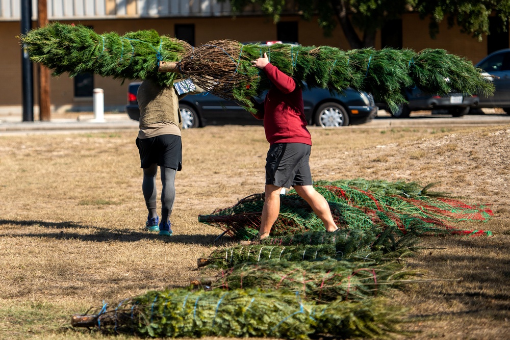 Trees for Troops