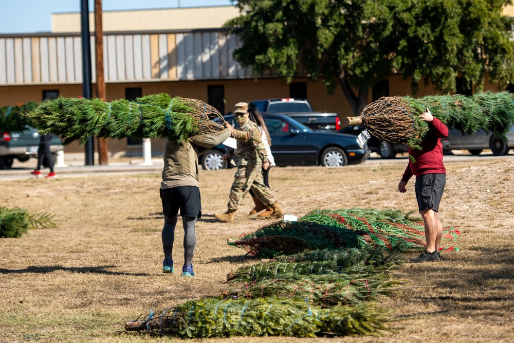 Trees for Troops