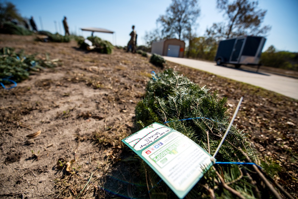 Trees for Troops