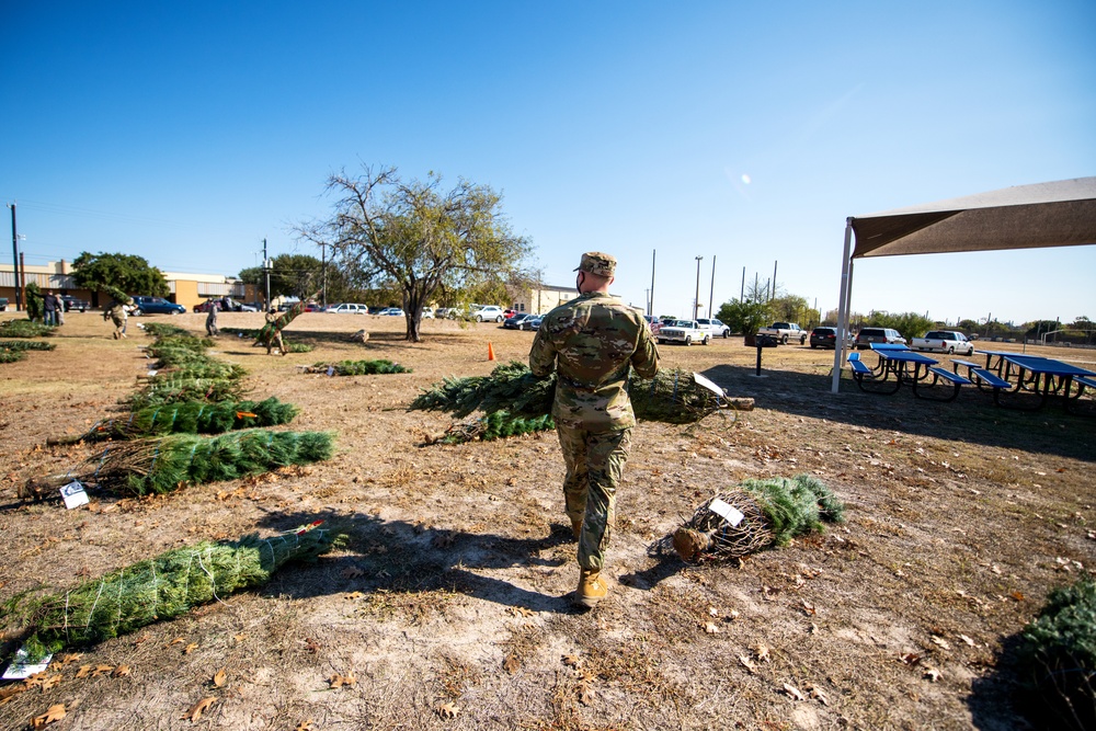 Trees for Troops