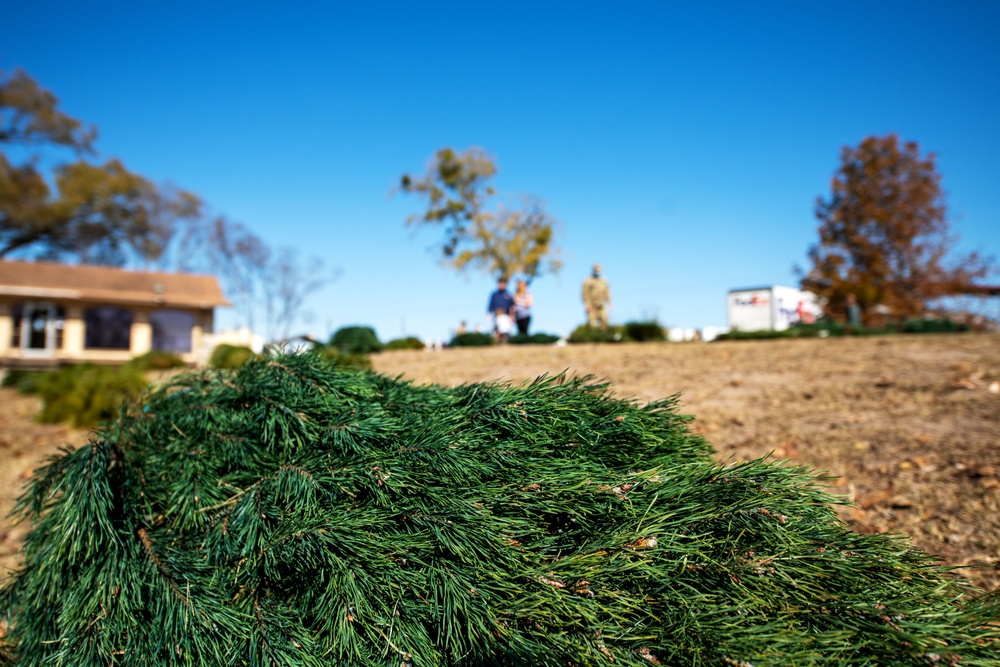 Trees for Troops