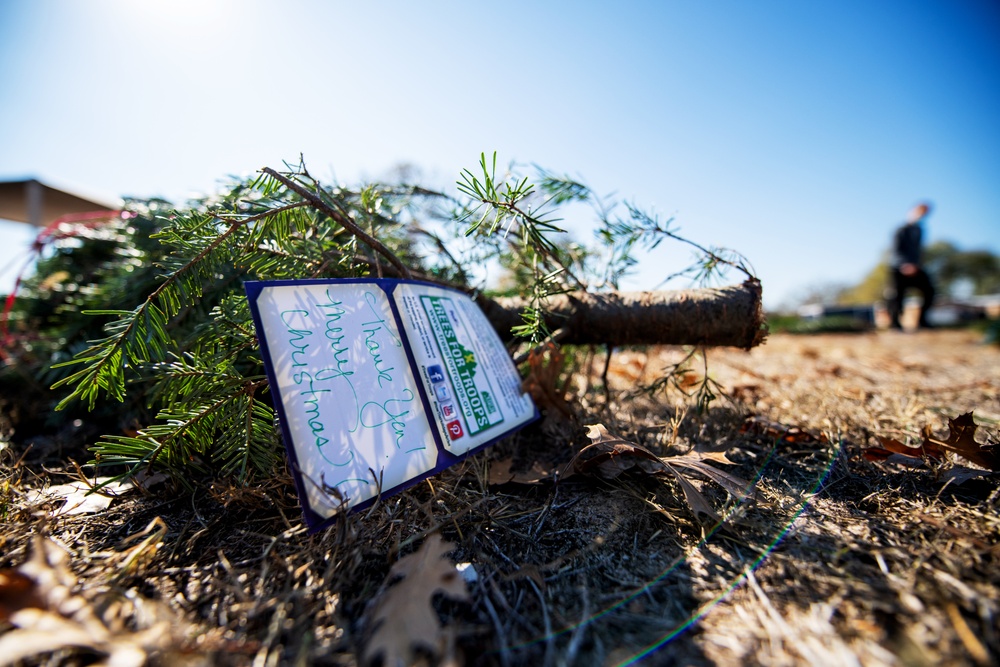 Trees for Troops