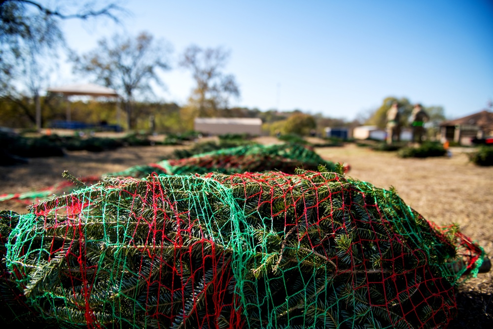 Trees for Troops