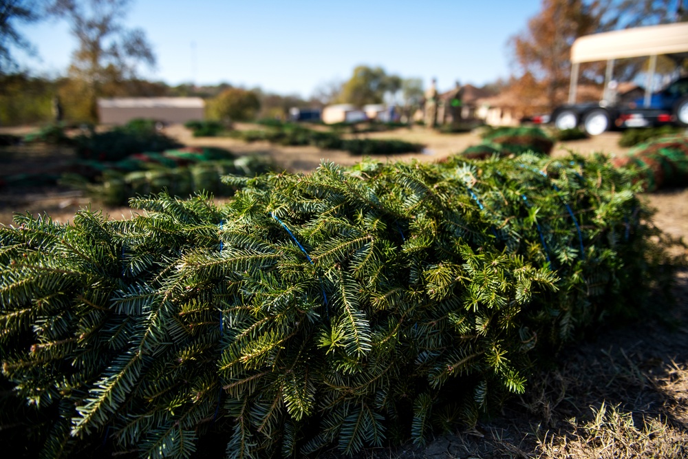 Trees for Troops