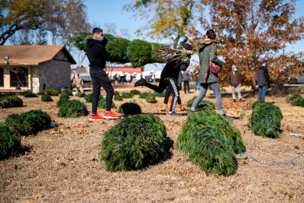 Trees for Troops