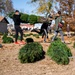 Trees for Troops