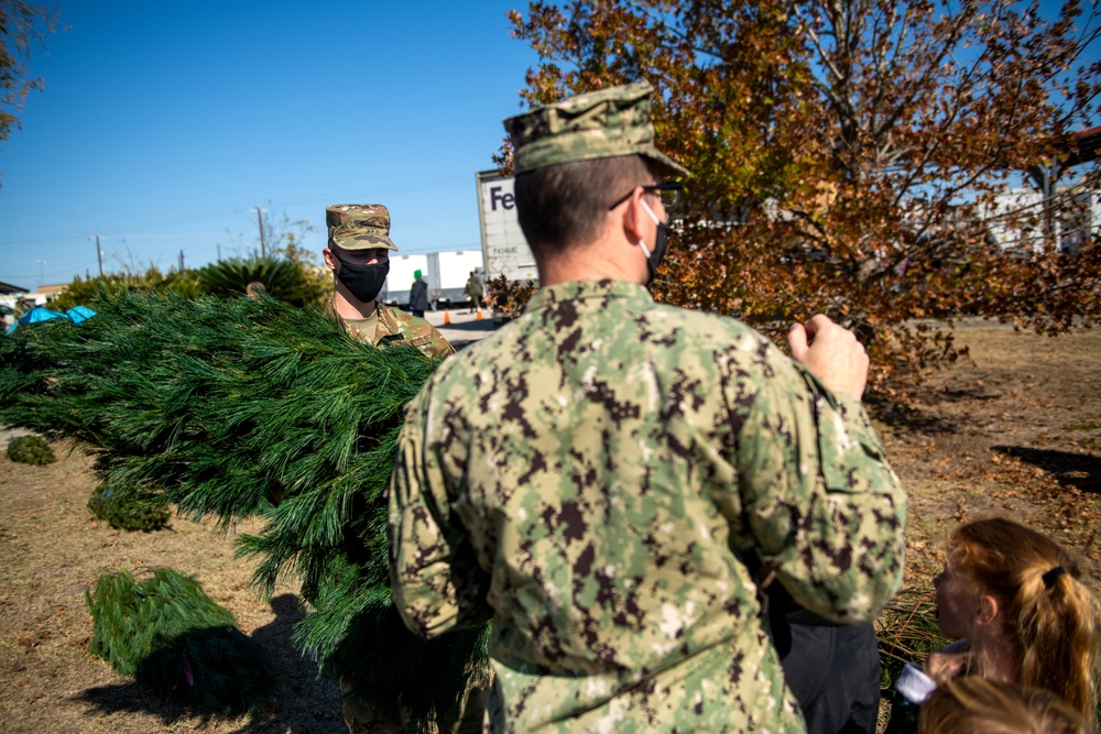 Trees for Troops