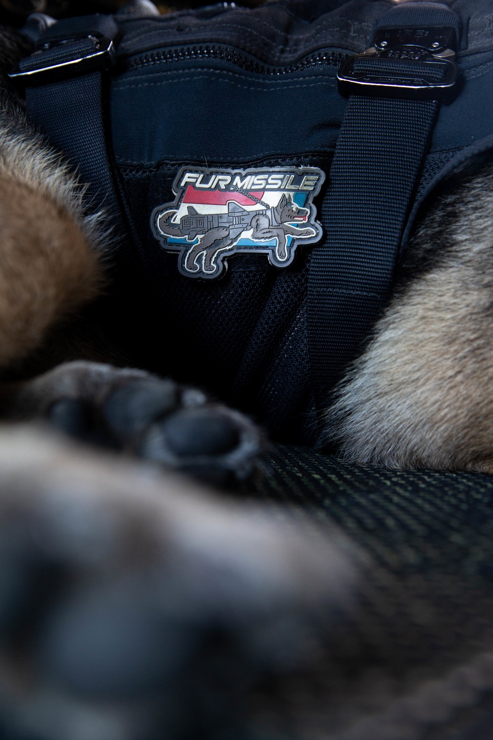 15th MEU Marines conduct close-air support, military working dog familiarization training