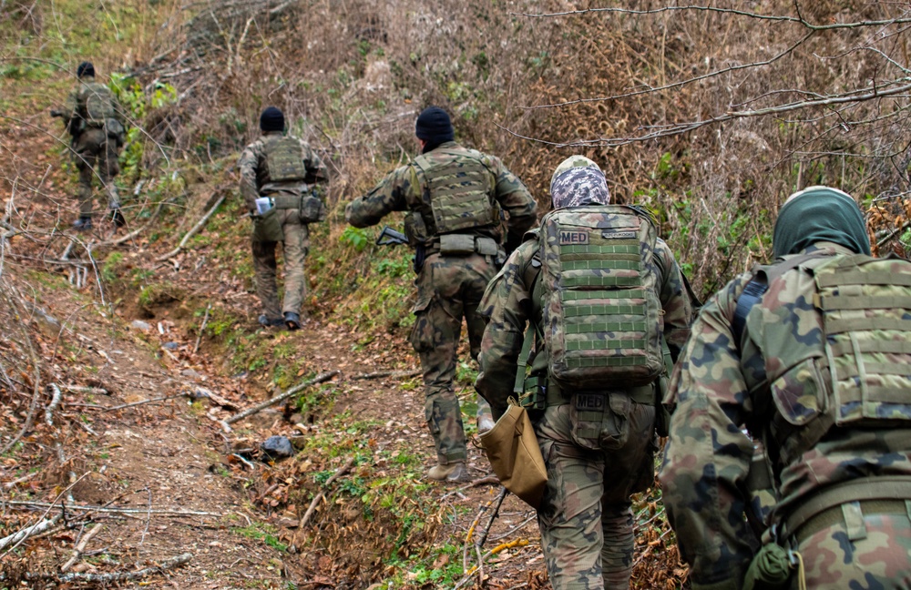 DVIDS - Images - Polish soldiers patrol Kosovo-Serbia administrative ...