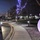 2020 Fort McCoy Holiday Tree Lighting drive-thru event