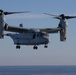 Steel Knight 21: VMM-165 conducts Touch and Go drills from the USS Essex
