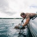 Navy Seabee Divers Repair Bouy in Guam Harbor