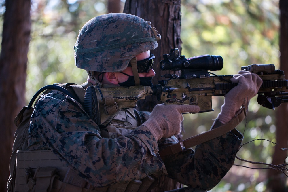 DVIDS - Images - Marines prepare for Exercise Forest Light with squad ...