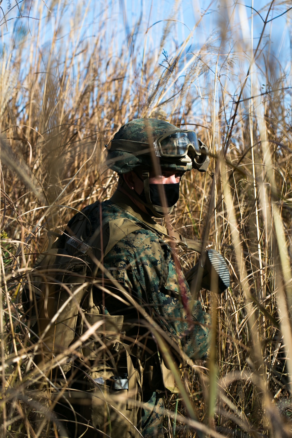 Marines prepare for Exercise Forest Light with squad attacks
