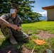 Task force US Marines set up a field expedient antenna in Honduras