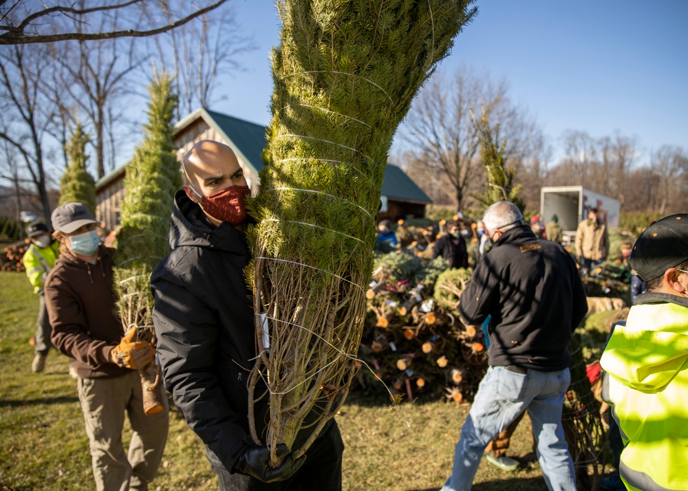Guardsmen help spread holiday cheer to military families