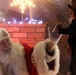 Hundreds mask up, celebrate 2020 Christmas tree lighting ceremony at Fort Knox