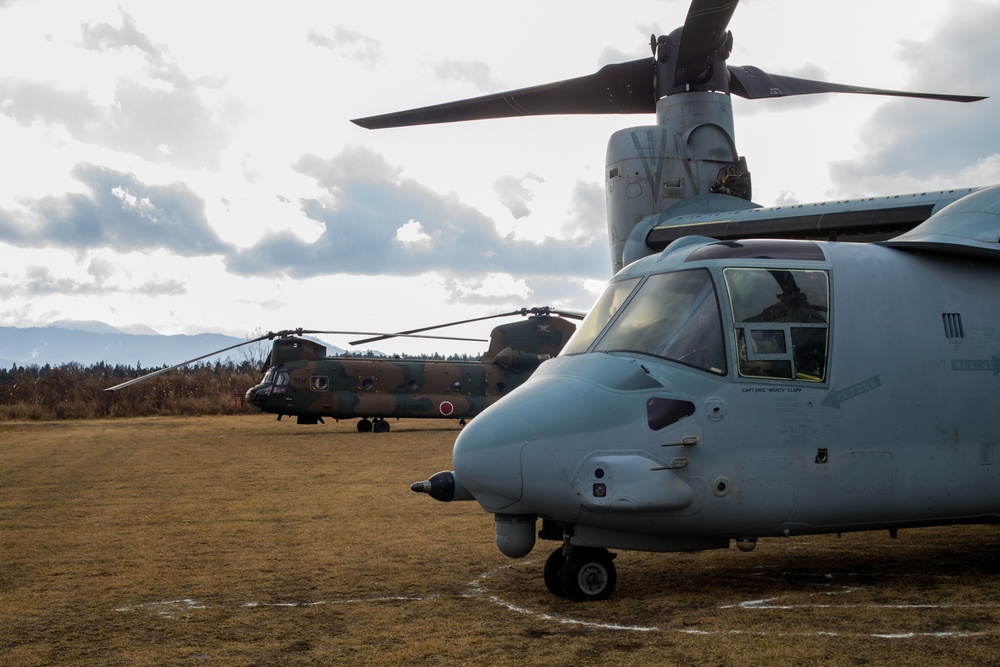 JGSDF 30th Infantry Regiment, U.S. 3rd Battalion, 8th Marines Open Exercise Forest Light