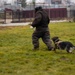 K-9 handler gives working dog demonstration for Kosovo students