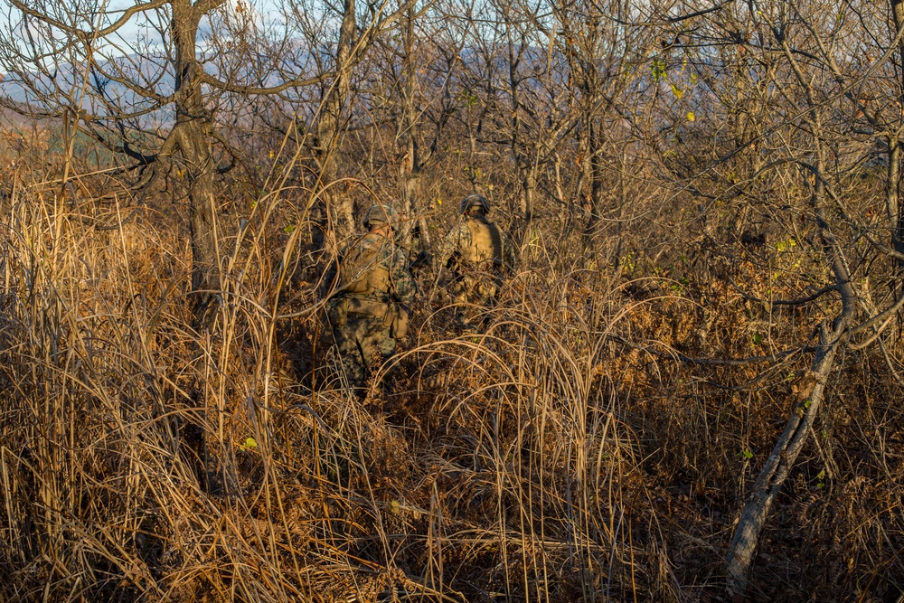 3/8 and JGSDF troops exchange patrol and infiltration tactics