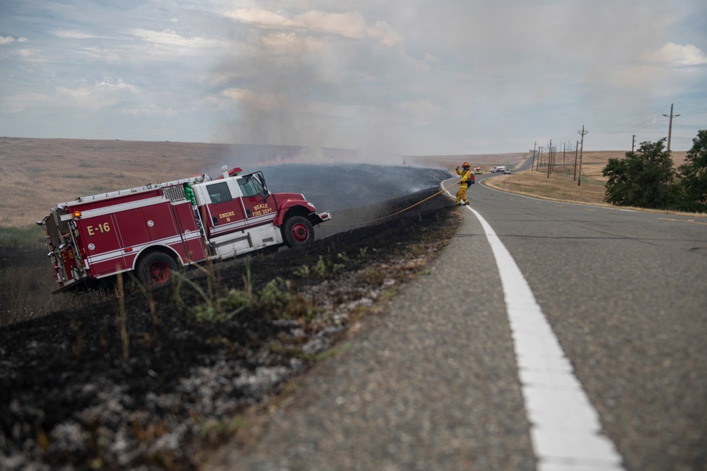 Wildfire training turns to trial