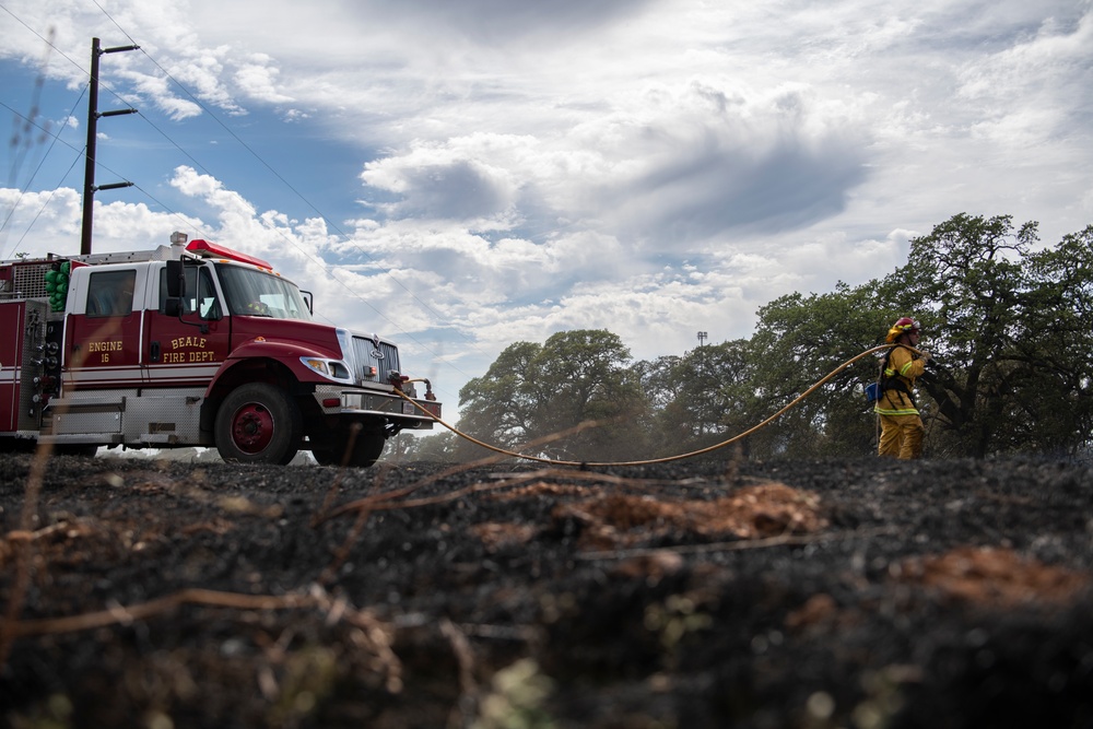 Wildfire training turns to trial