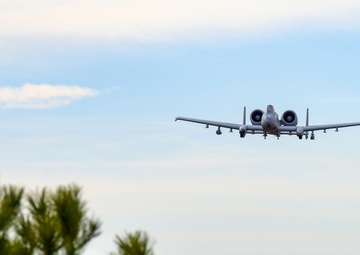 Maryland A-10s train with Estonian JTACs