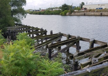 USACE restores nature with nature