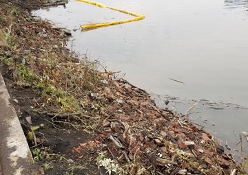 USACE restores nature with nature