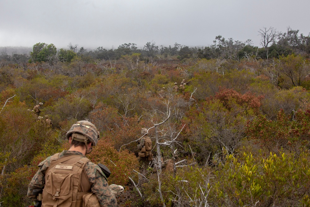 BLT 1/4 Marines, Sailors conduct live-fire range at Pohakuloa Training Area