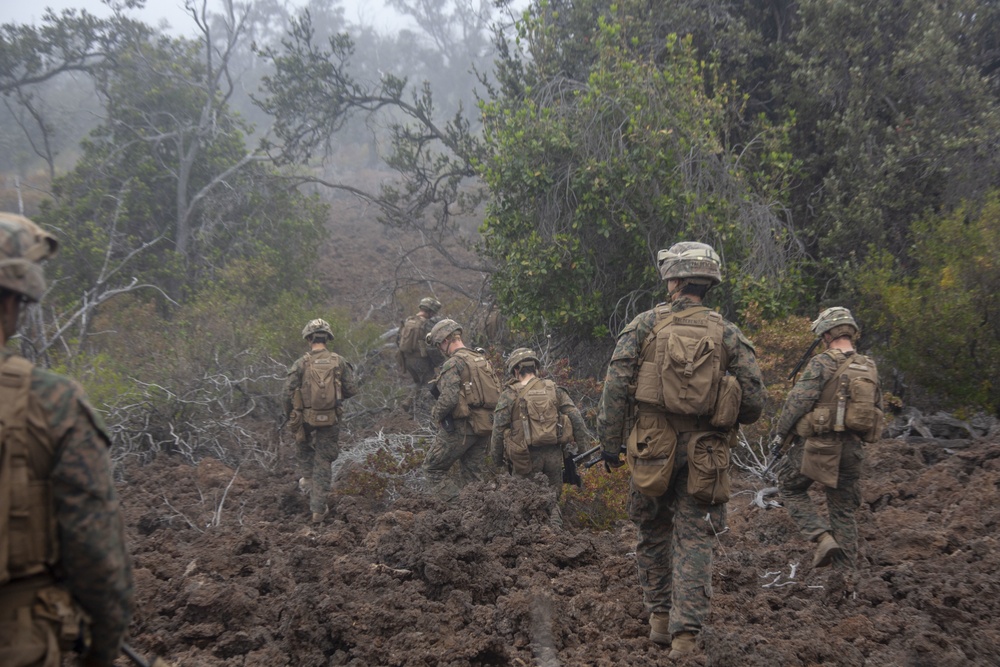 BLT 1/4 Marines, Sailors conduct live-fire range at Pohakuloa Training Area