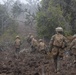 BLT 1/4 Marines, Sailors conduct live-fire range at Pohakuloa Training Area