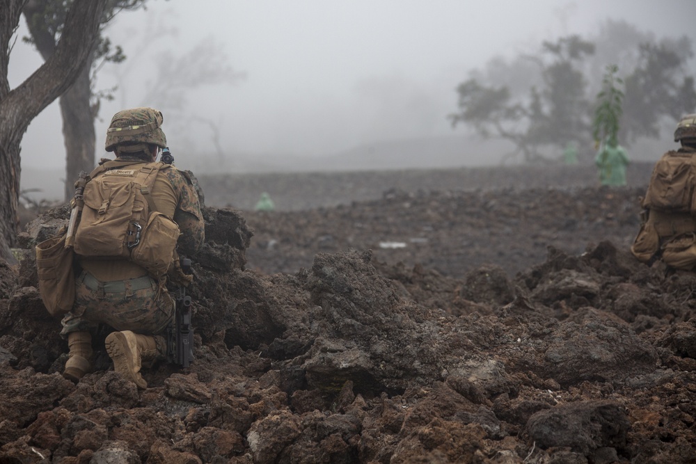 BLT 1/4 Marines, Sailors conduct live-fire range at Pohakuloa Training Area