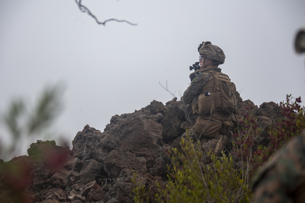 BLT 1/4 Marines, Sailors conduct live-fire range at Pohakuloa Training Area