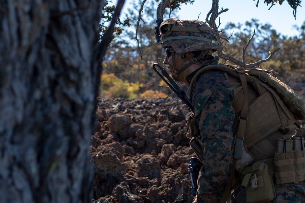 DVIDS - Images - BLT 1/4 Marines, Sailors conduct live-fire range at ...