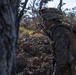 BLT 1/4 Marines, Sailors conduct live-fire range at Pohakuloa Training Area