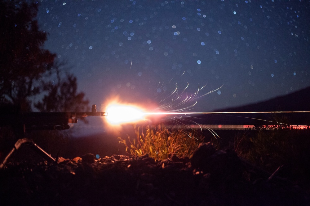 BLT 1/4 Marines, Sailors conduct live-fire range at Pohakuloa Training Area
