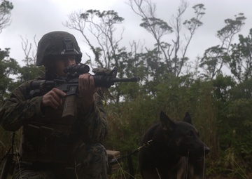 U.S. Marine Corps military police practice detainee handling drills