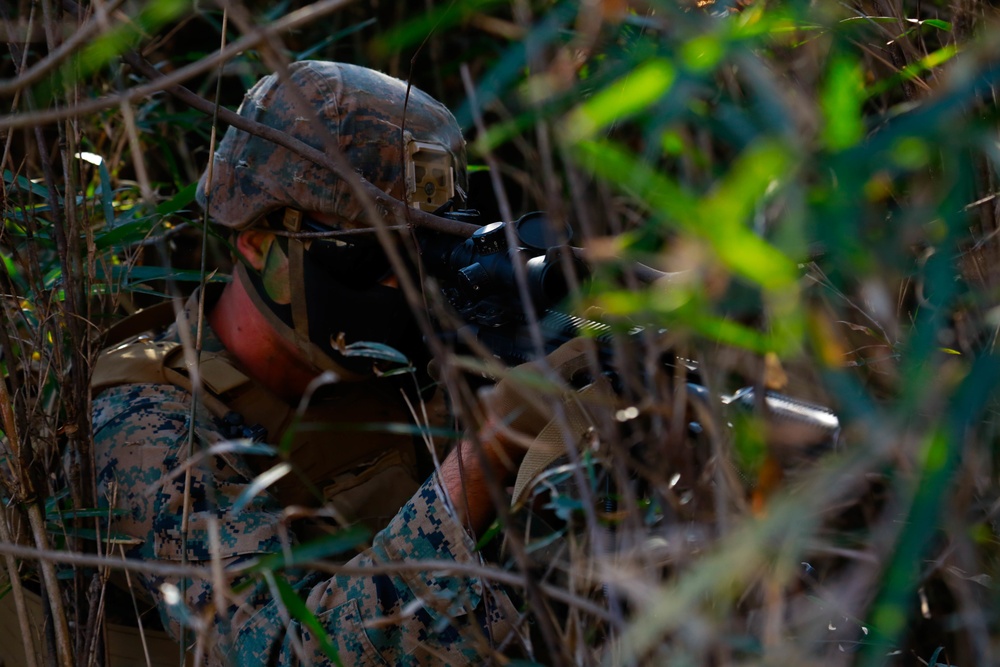 DVIDS - Images - Forest Light: JGSDF’s 30th Infantry Regiment, 3/8 ...