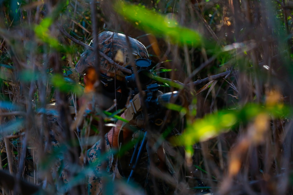 Forest Light: JGSDF’s 30th Infantry Regiment, 3/8 conducts infiltration tactics training