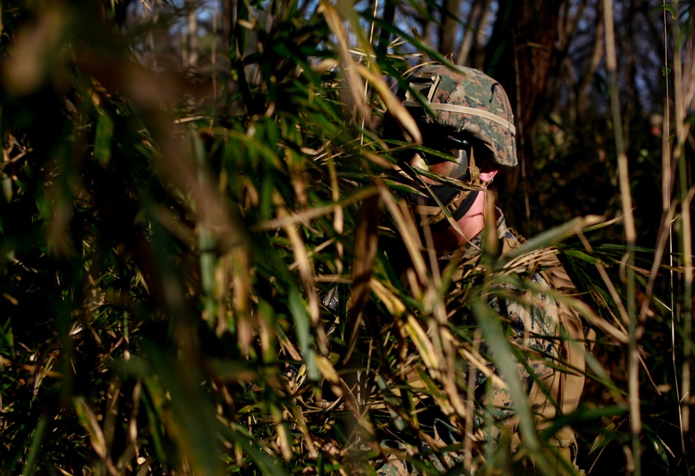 Forest Light: JGSDF’s 30th Infantry Regiment, 3/8 conducts infiltration tactics training