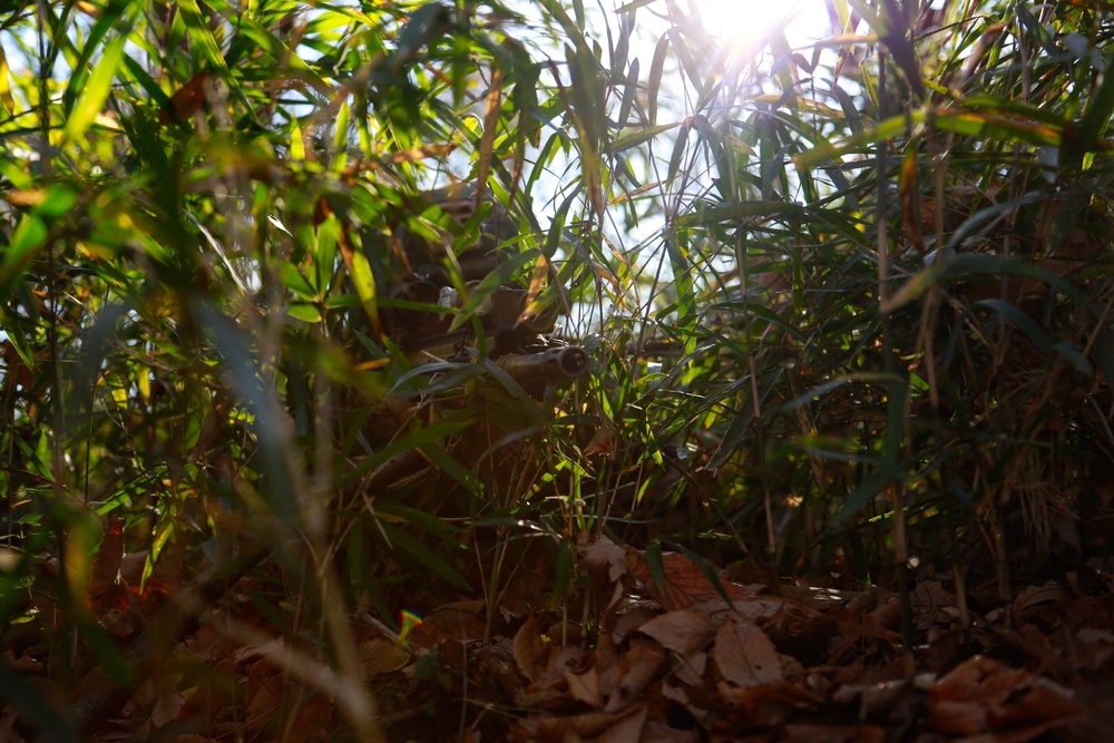 Forest Light: JGSDF’s 30th Infantry Regiment, 3/8 conducts infiltration tactics training