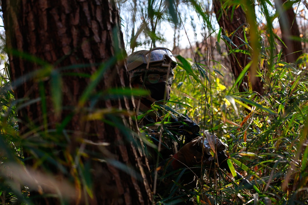 Forest Light: JGSDF’s 30th Infantry Regiment, 3/8 conducts infiltration tactics training