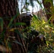 Forest Light: JGSDF’s 30th Infantry Regiment, 3/8 conducts infiltration tactics training