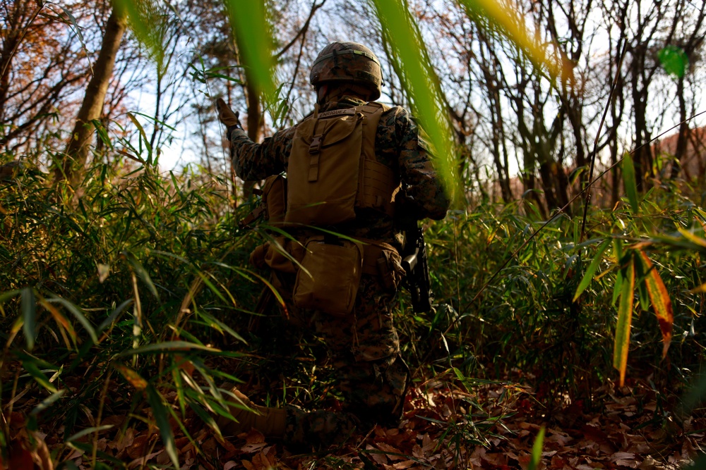 Forest Light: JGSDF’s 30th Infantry Regiment, 3/8 conducts infiltration tactics training
