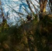 Forest Light: JGSDF’s 30th Infantry Regiment, 3/8 conducts infiltration tactics training