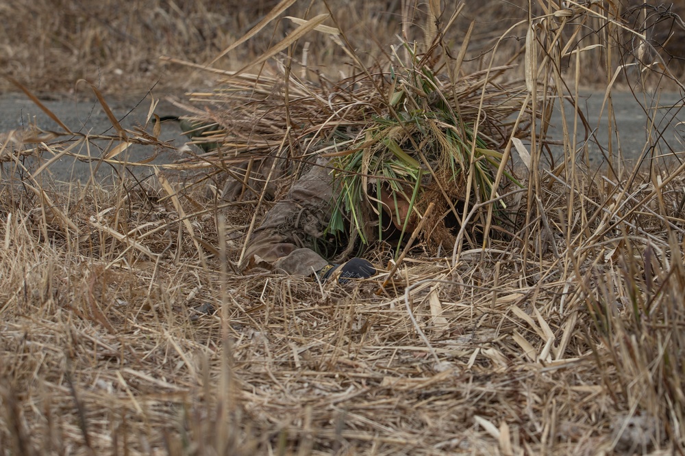 JGSDF, USMC develop sniping and integrated ground ISR techniques