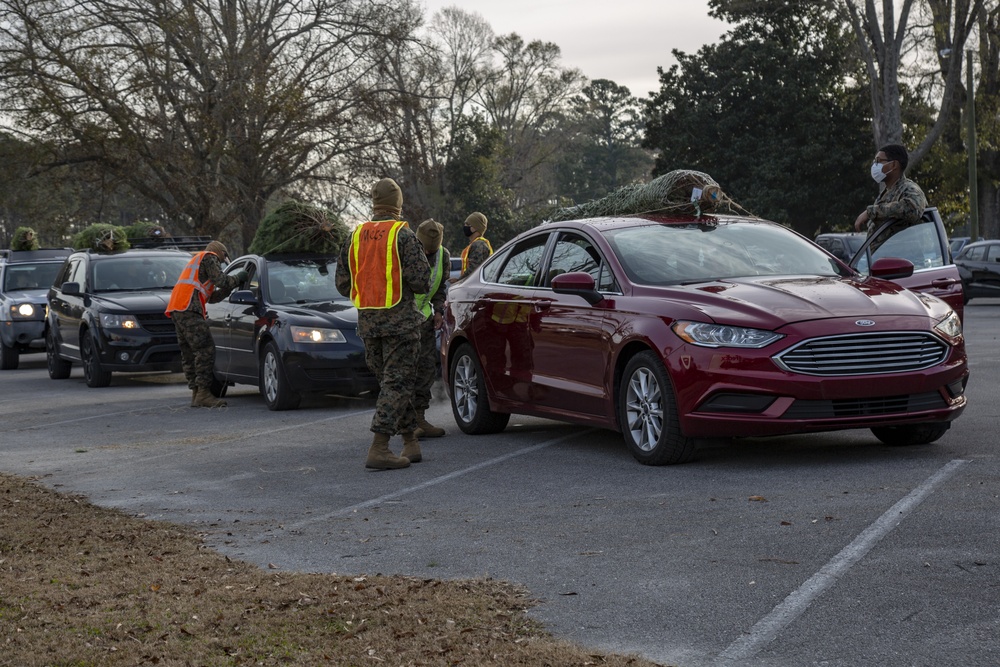 Camp Lejeune receives Christmas trees from Christmas Spirit Foundation