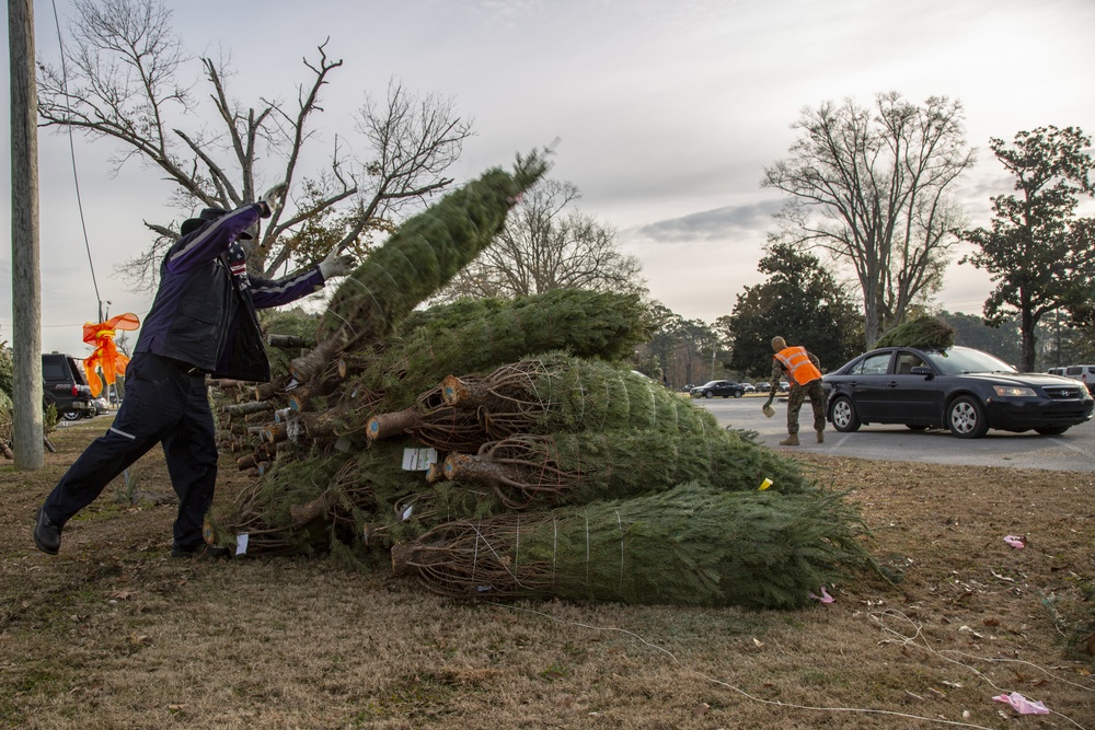 Camp Lejeune receives Christmas trees from Christmas Spirit Foundation